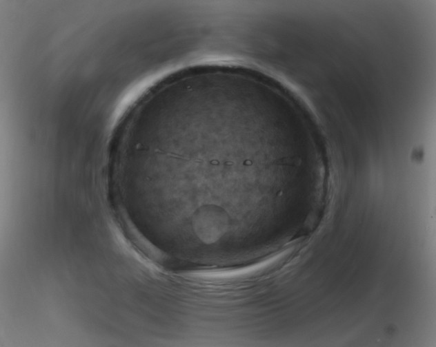 X0000116811319200912181335