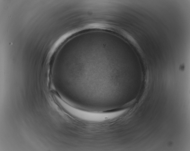 X0000116811323200912181335