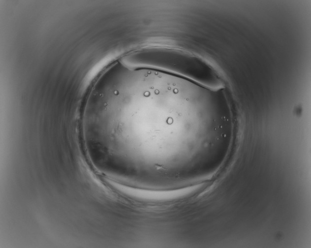 X0000116811325200912181335