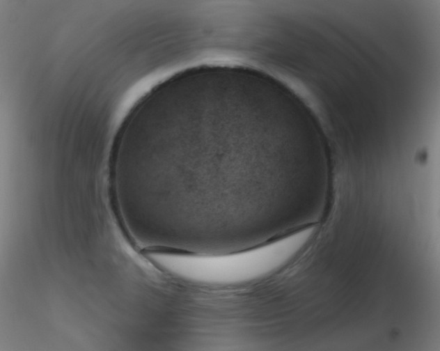 X0000116811327200912181335