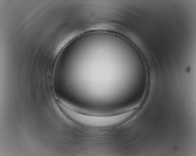 X0000116811329200912181335