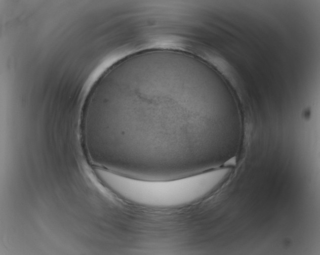 X0000116811331200912181335