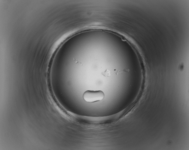 X0000116811333200912181335