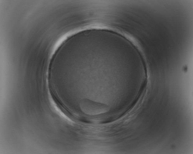 X0000116811334200912181335