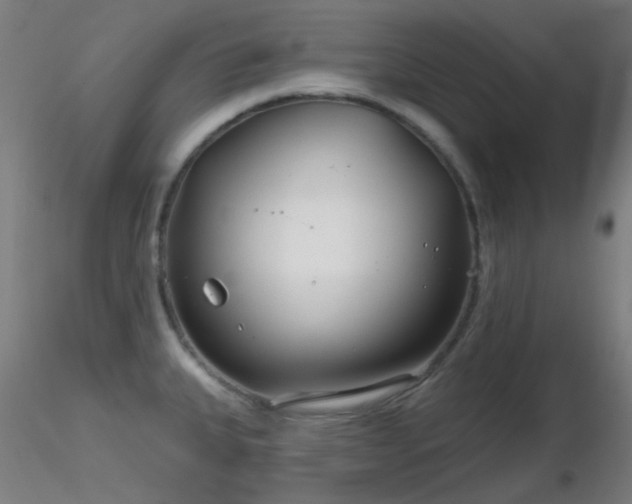 X0000116811335200912181335