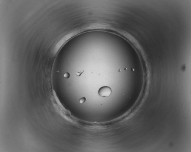 X0000116811337200912181335