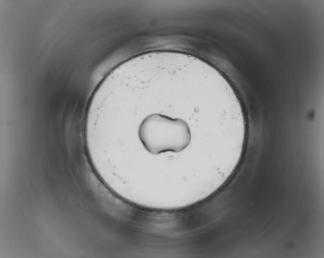 X0000116811338200912181335