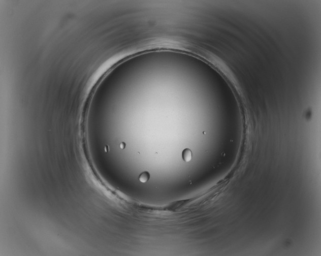X0000116811339200912181335