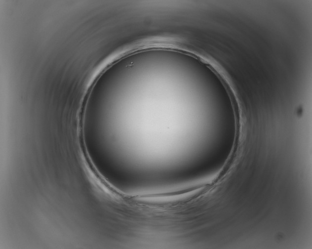 X0000116811341200912181335