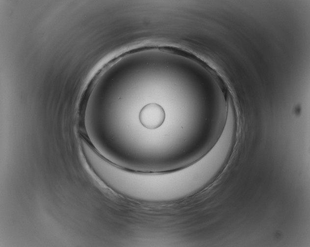 X0000116811342200912181335