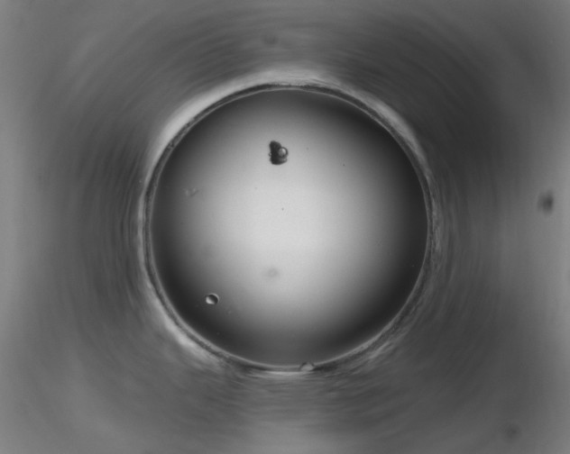 X0000116811343200912181335