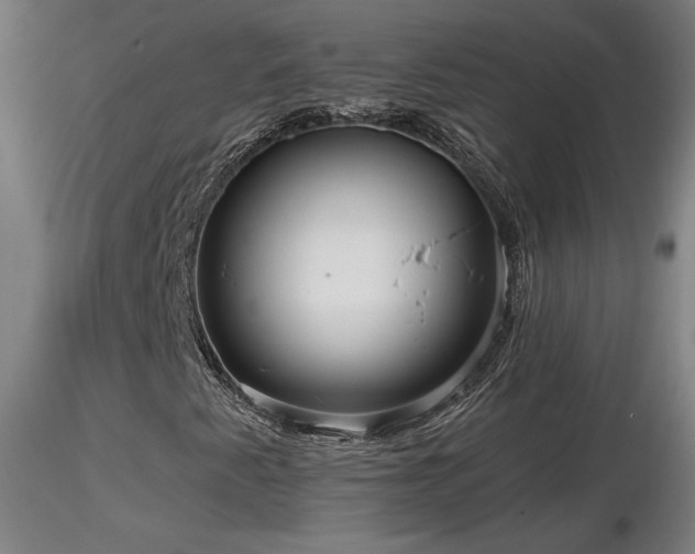 X0000116811345200912181335