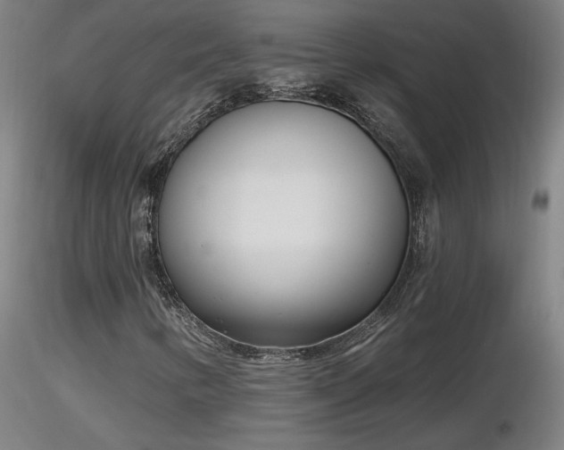 X0000116811346200912181335