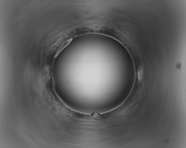 X0000116811347200912181335