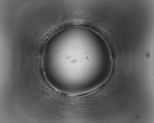 X0000116811349200912181334