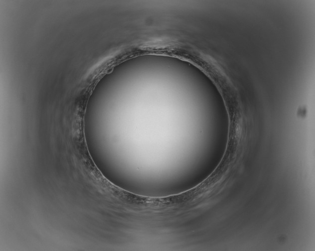 X0000116811350200912181334