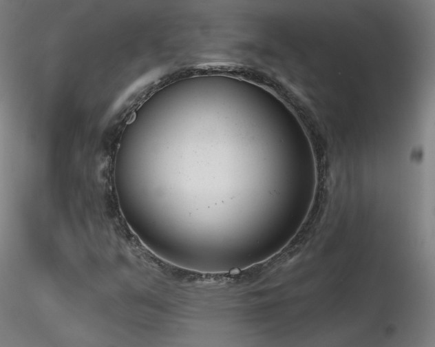 X0000116811351200912181334
