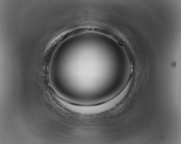 X0000116811352200912181334