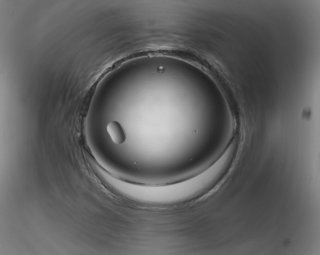 X0000116811353200912181334