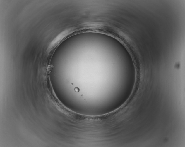 X0000116811354200912181334