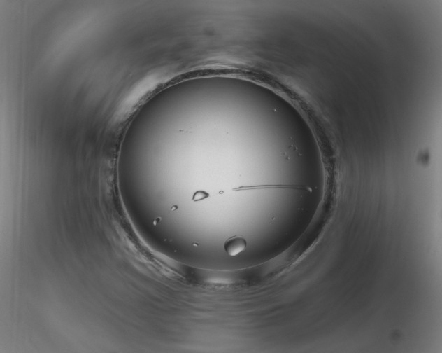X0000116811355200912181334