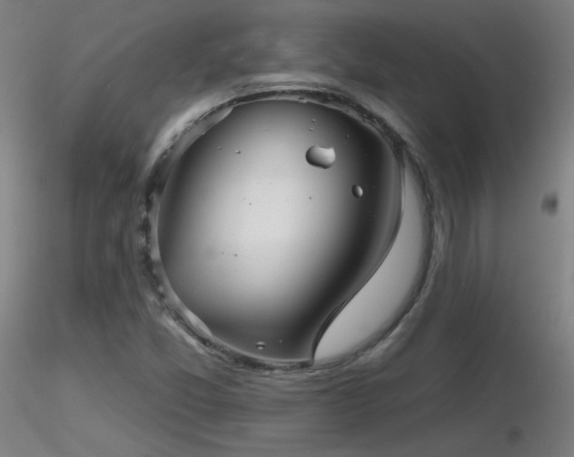 X0000116811357200912181334