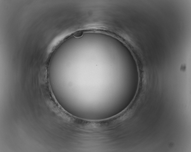 X0000116811358200912181334
