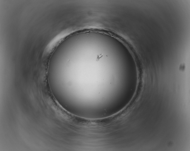 X0000116811359200912181334