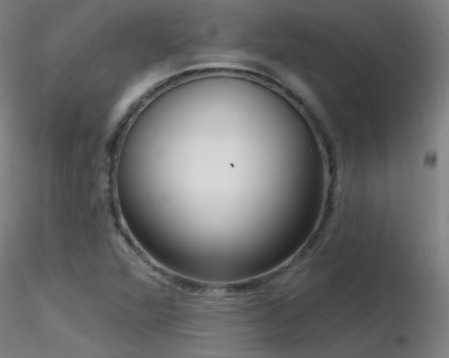 X0000116811360200912181334