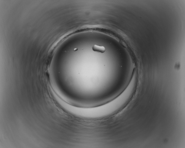 X0000116811361200912181334