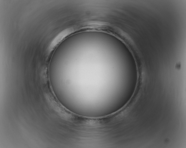 X0000116811362200912181334