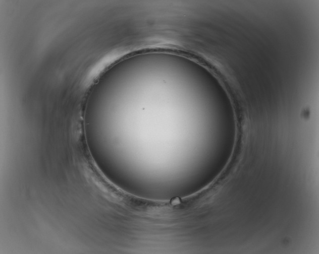 X0000116811363200912181334