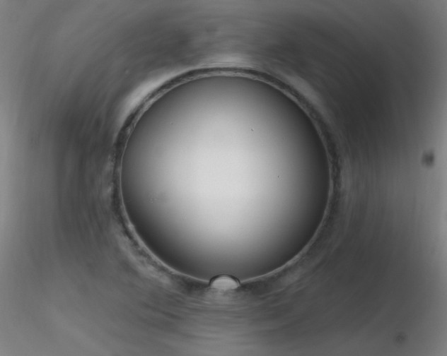 X0000116811364200912181334