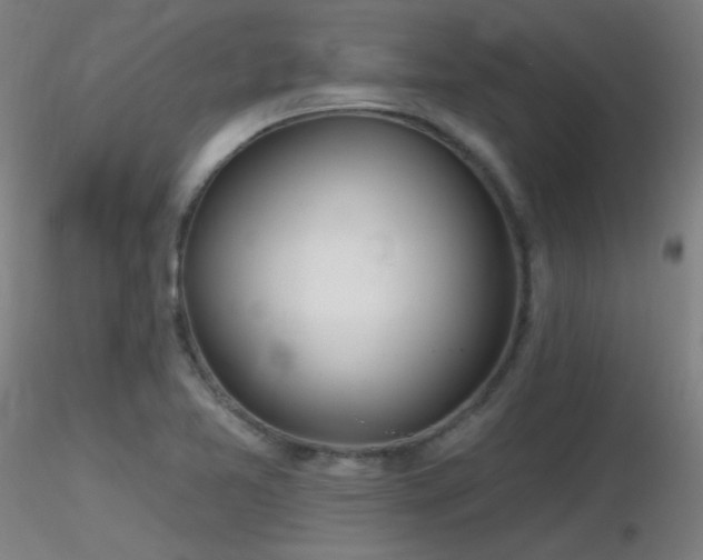 X0000116811365200912181334