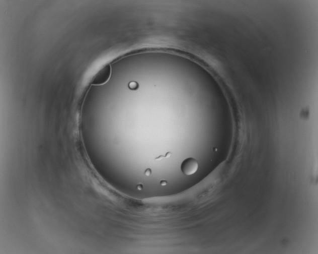 X0000116811366200912181334