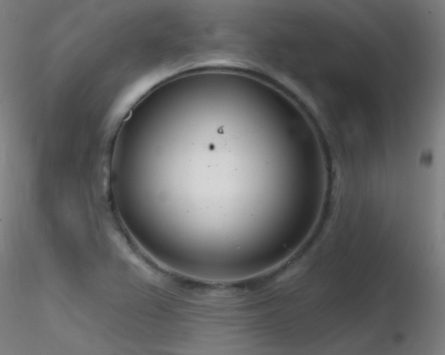 X0000116811367200912181334