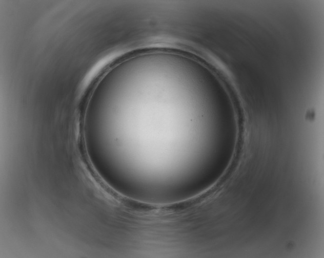 X0000116811368200912181334