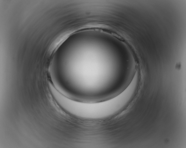 X0000116811369200912181334