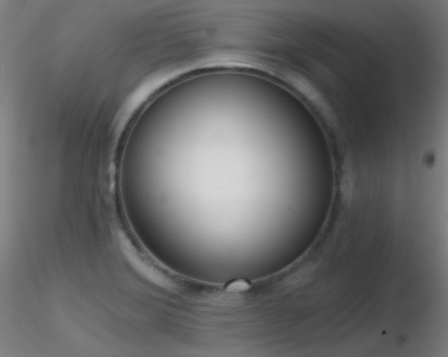 X0000116811372200912181334