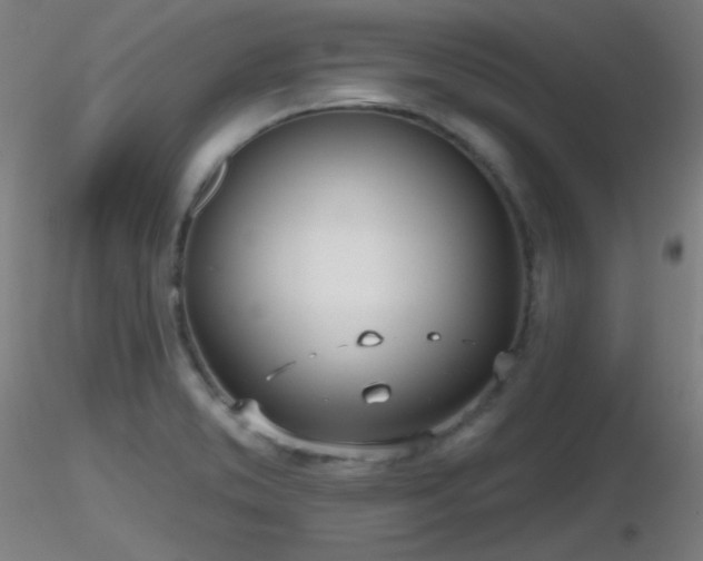 X0000116811373200912181334