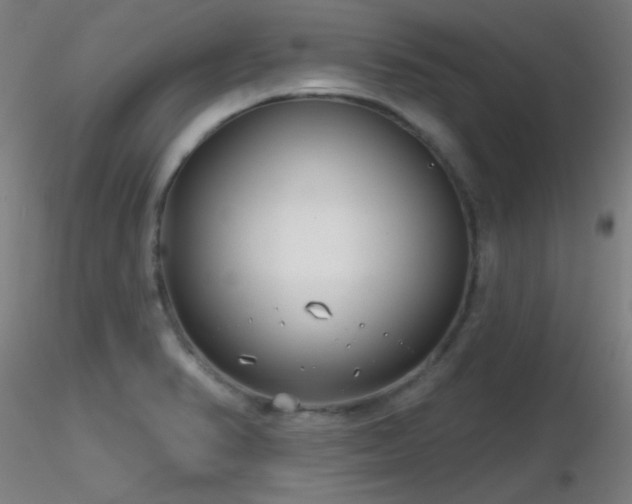 X0000116811374200912181334