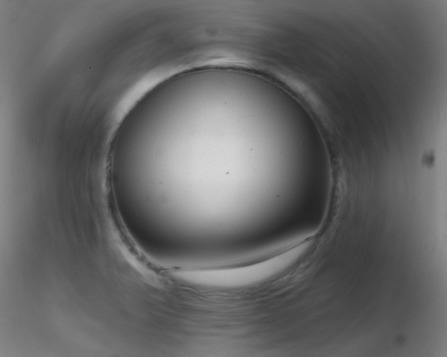 X0000116811375200912181334