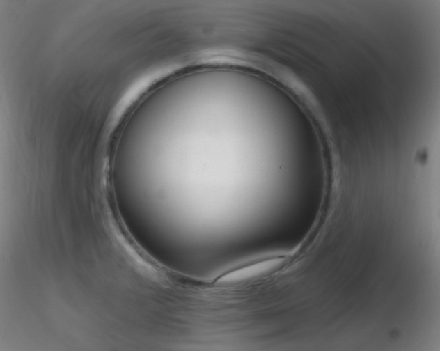 X0000116811376200912181334