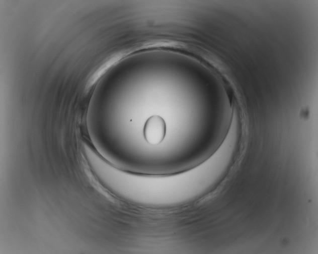X0000116811377200912181334