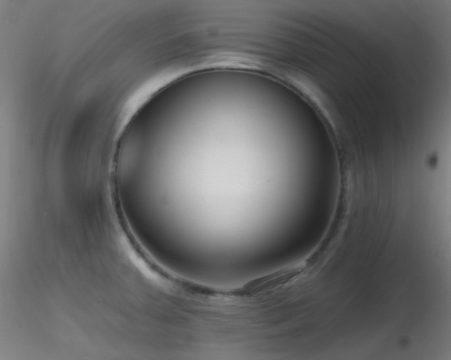 X0000116811379200912181334