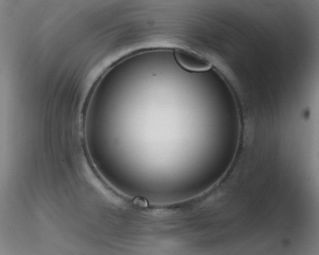 X0000116811380200912181334