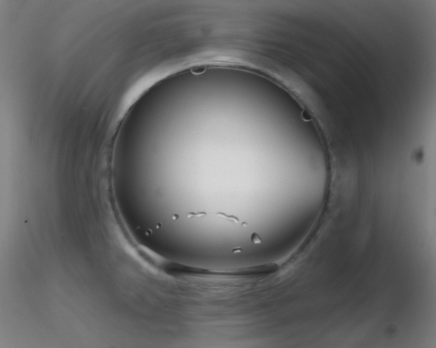 X0000116811382200912181334
