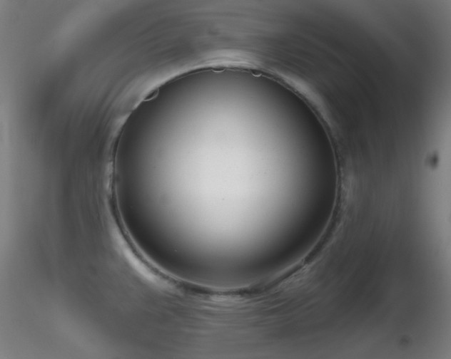 X0000116811383200912181334