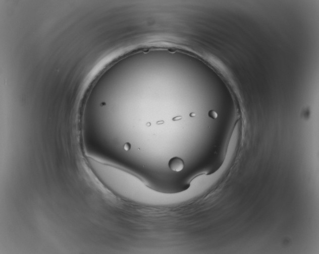X0000116811384200912181334