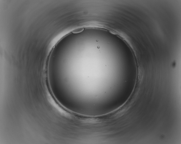 X0000116811387200912181334